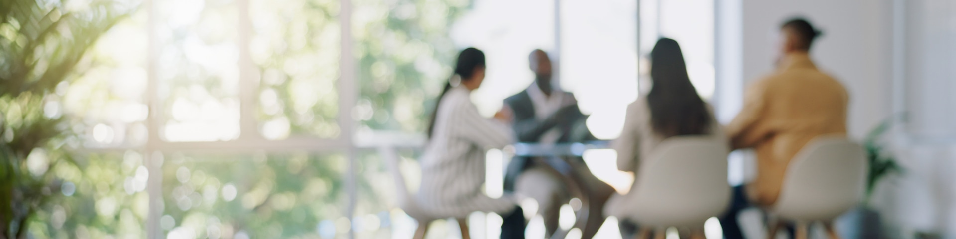 Development and Institutional Advancement Program