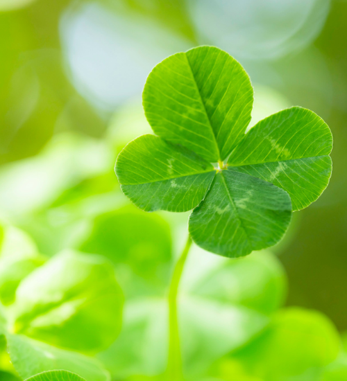 ATS &lsquo;four core values': rooted in the past and looking to the future