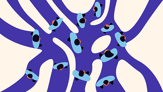 multiple-pathways.jpg
