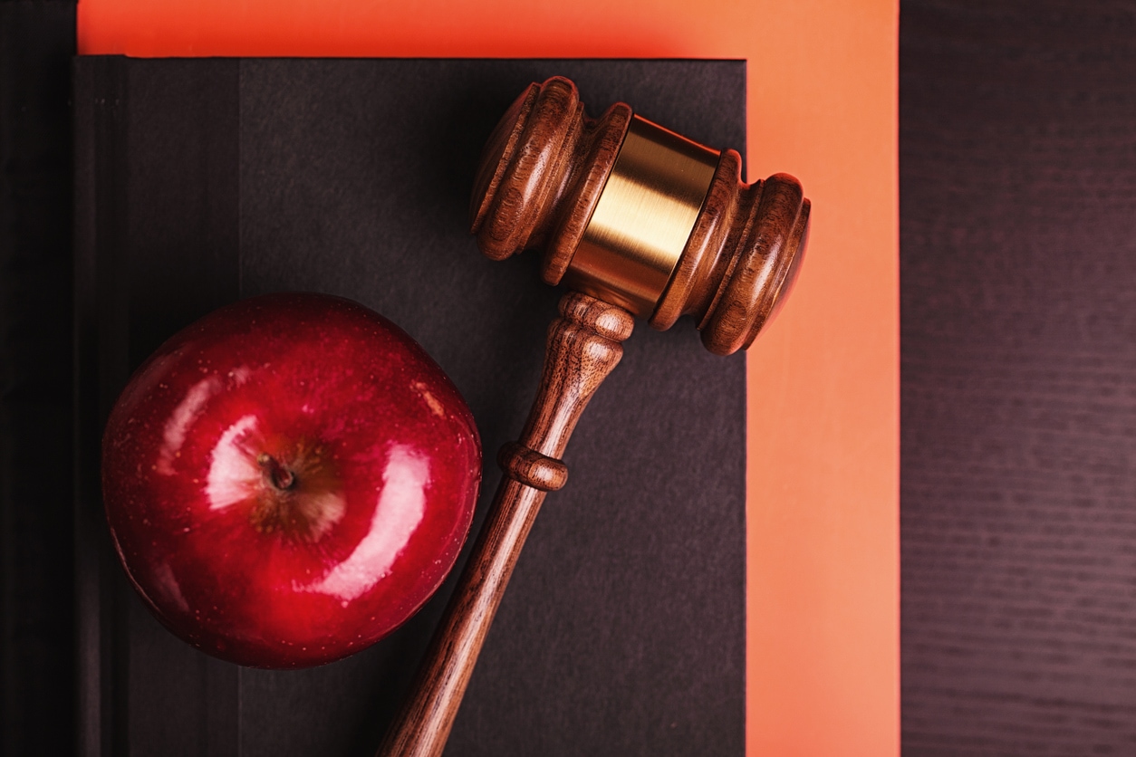 Governance and Administration: reviewing ATS Standard 9