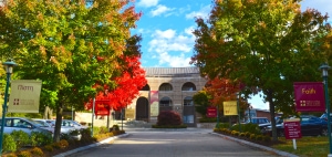 Holy Cross Greek Orthodox School of Theology Thumbnail